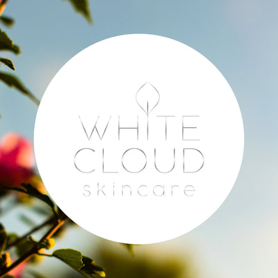 The very first White Cloud Blog Post